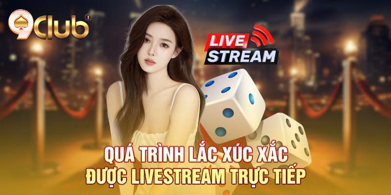 Quá trình lắc xúc xắc được livestream trực tiếp